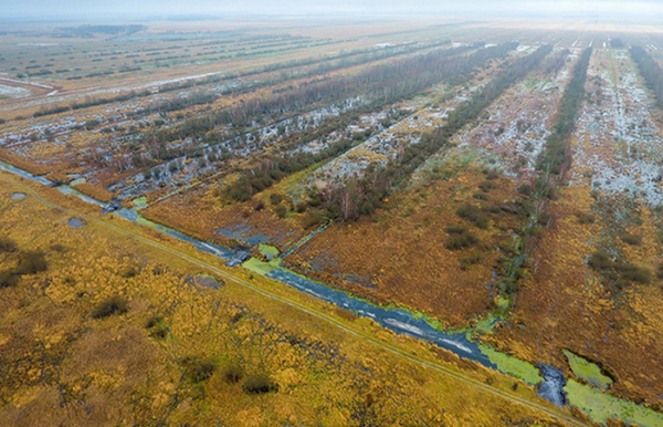 Болота осушали повсеместно. /Фото: udp.gov.by. 