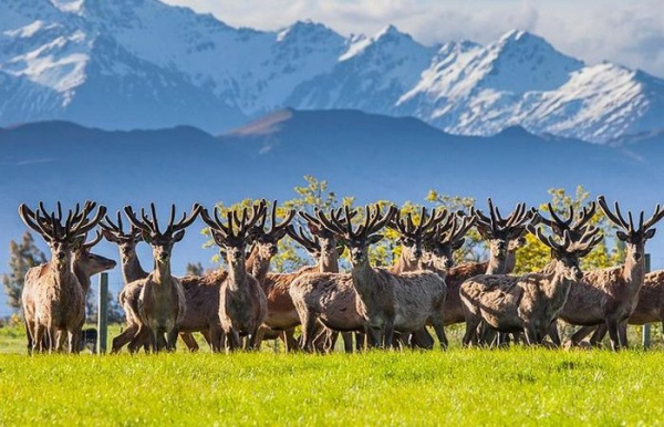Всё дело в объемах производства. /Фото: viator.com. 
