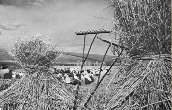 Как же такое стало возможным? /Фото: travelask.ru. 