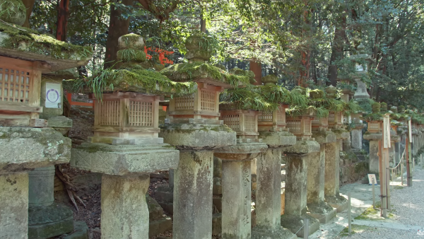 Старинные торо Фото:stockarch.com