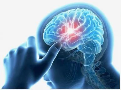 Що таке мозок та як використовувати його на 100%?