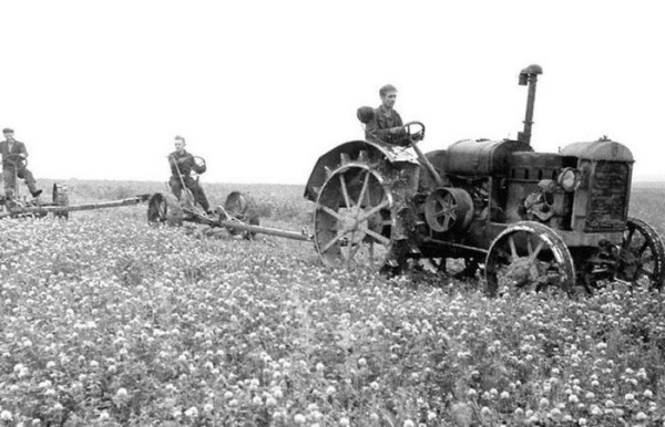 Стране отчаянно нужен был хлеб. /Фото: dp.ru. 