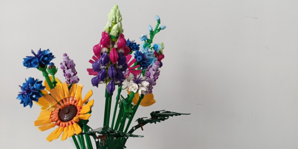 Знімки на TECNO MEGAPAD Pro