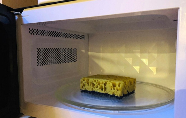 Положите губку в микроволновку. / Фото: myjane.ru