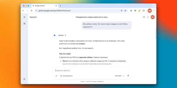 Визначення слідів тварини Как использовать ИИ: анализ следов в лесу