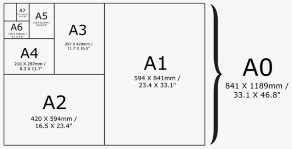 Размеры листов Фото:adobe.com