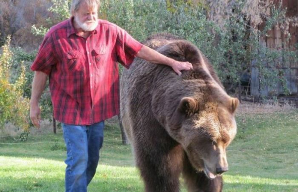 Кадьяк Барт и его воспитатель. /Фото: wildfact.com. 