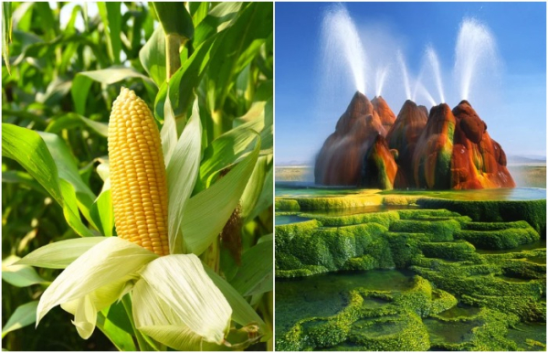 6 речей, які приписують природі, а на ділі без людини вони ніколи&hellip;