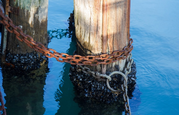 Не разрушаются они из-за самой воды Фото:www.youtube.com