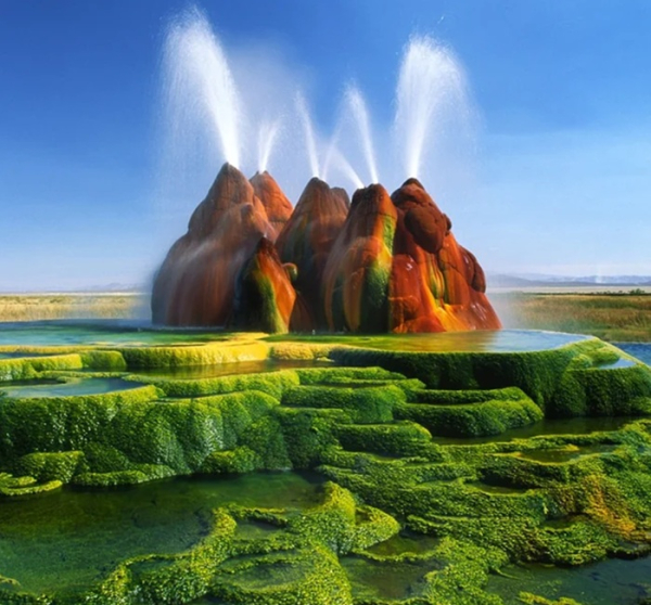 Инопланетный вид, созданный человеческими ошибками и неудачами. /Фото: reddit.com