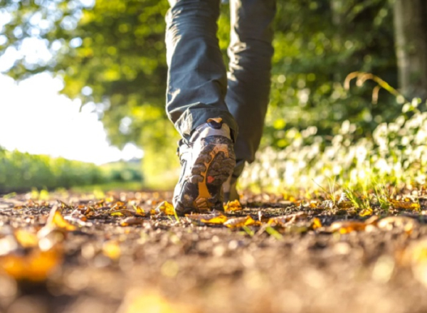 Без этого никак, сорри! / Фото: coaching-way.com