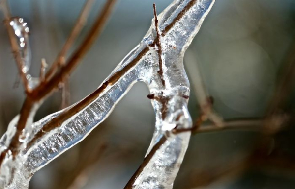 Ни в коем случае не пытайтесь сбить лёд палкой.  Фото: wallhere.com.