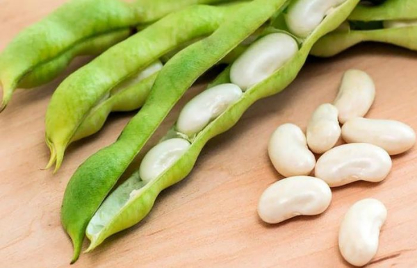 Употребление фасоли снижает вес и нормализует сахар в крови.  Фото: chemicalbook.com.