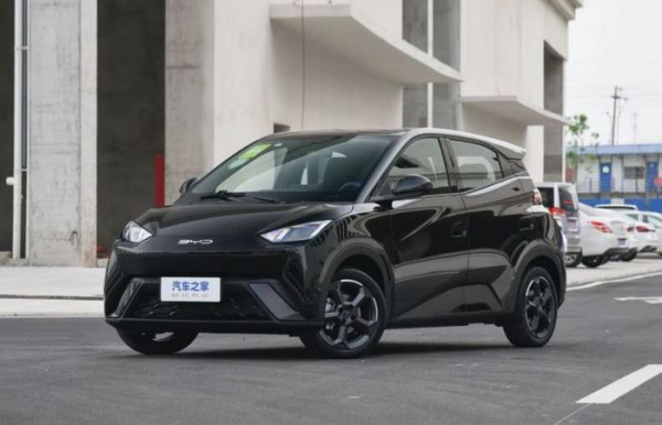 BYD Seagull – долгое время был лидером. /Фото: russian.alibaba.com. 