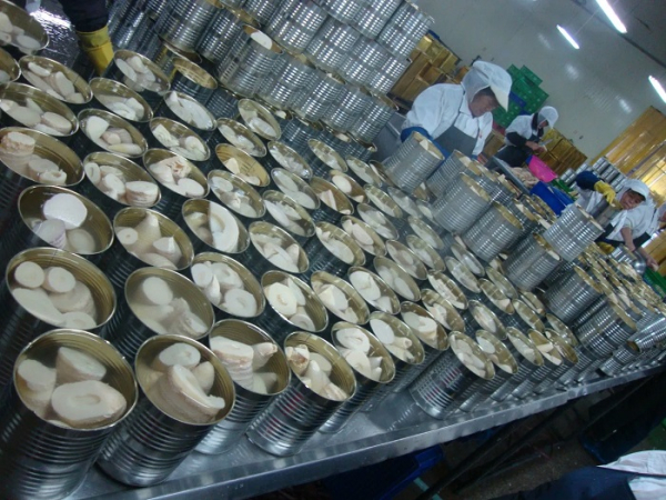 Процесс консервации продуктов. / Фото: ru.made-in-china.com