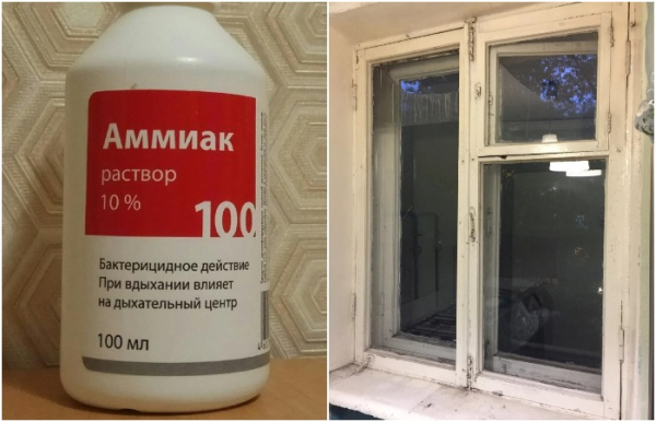 Нашатырь не оставлял разводов на окнах
