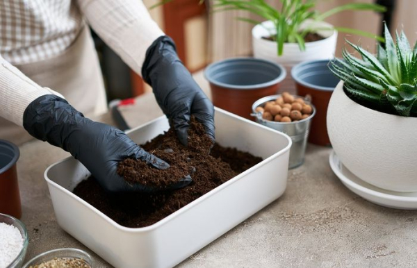 Замена верхнего слоя почвы.  Фото: forestry.com.