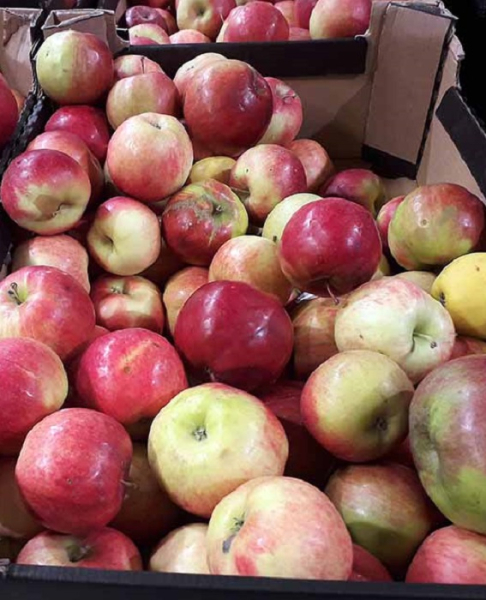 Сезонные фрукты. / Фото: агродеревня.рф