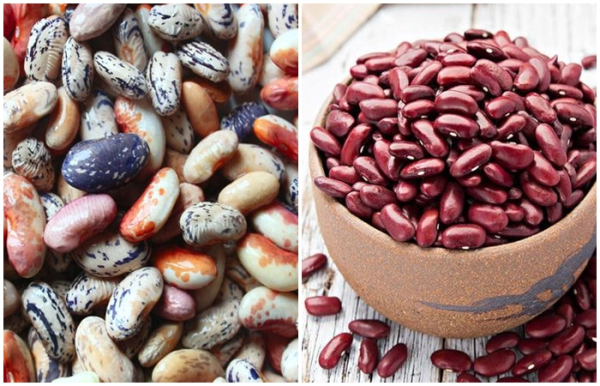 Чому квасоля не така вже ідеальна та корисна, як про неї говорять
