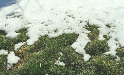 Які роботи на газоні проводять навесні?