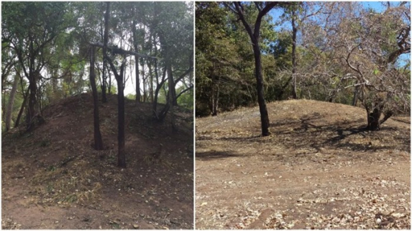 С виду простые холмики, а оказались наследием древних австралийцев. /Фото: thevintagenews.com