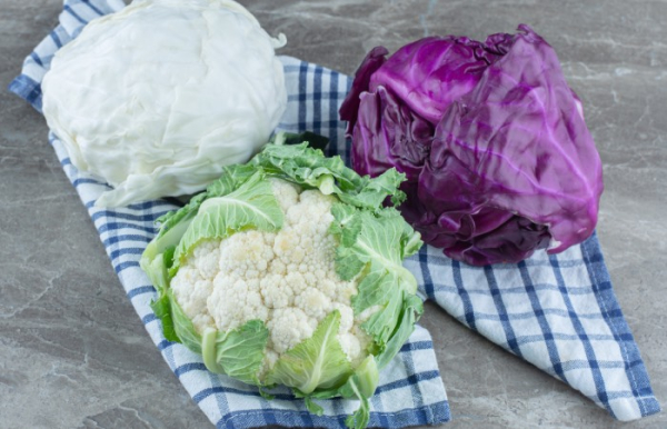 Культ капуст в Германии. / Фото: reepik.com.