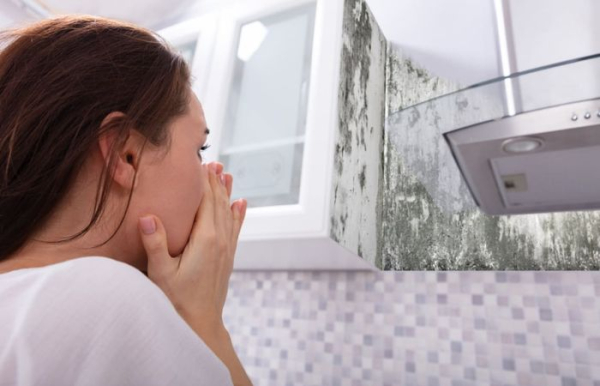 Причиной неприятного запаха может стать плесень и сырость.  Фото: fumigation1.ru.