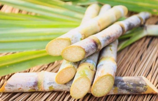 По сути ром - это обычная самогонка. Просто из сахарного тростника. /Фото: russian.alibaba.com.