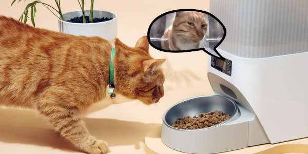 Через блокування люди спілкуються через автогодівниці та таблиці