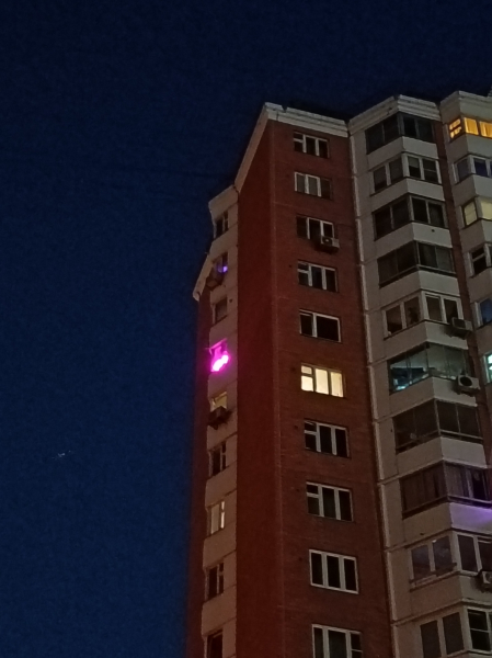 Обзор Honor 600 Lite: камеры