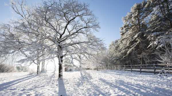 Арктичний шторм, напевне, не змусить дерева тріщати від холоду, але ось що&hellip;