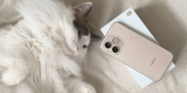 Огляд смартфона Honor 600 Lite