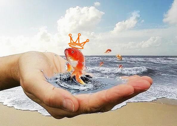 Що потрібне для виконання бажань?