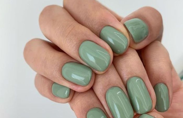 Маникюр в цвете шалфей.  Фото: s.isanook.com.