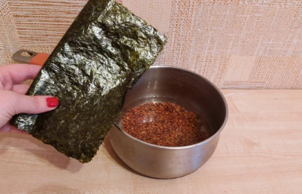 Морские водоросли спасут ваше время.