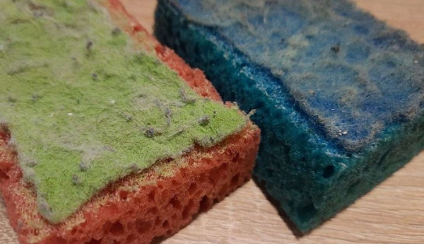 Такие кухонные губки нужно срочно выбросить. / Фото: niczp.ru