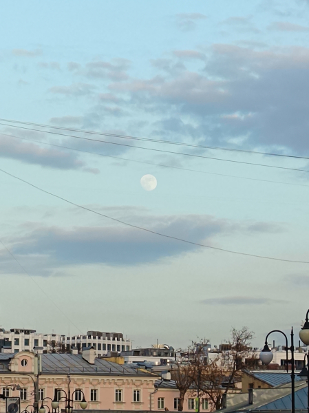 Обзор Honor 600 Lite: камеры