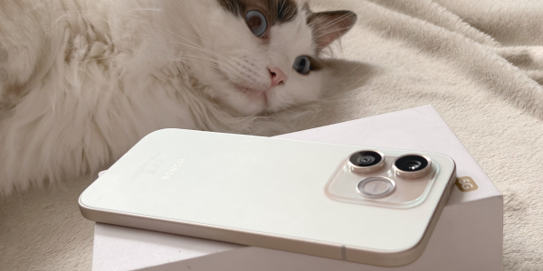 Обзор Honor 600 Lite: итоги