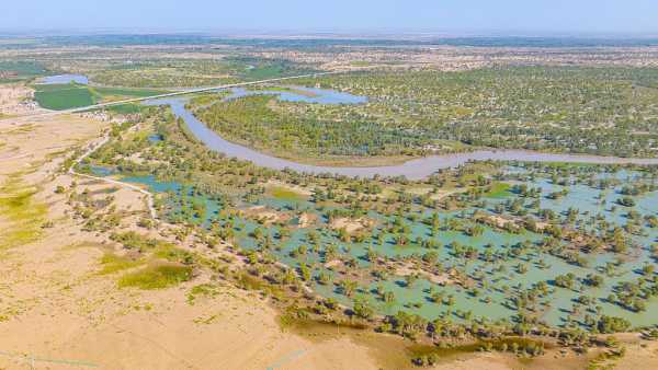 Китай засадив район навколо пустелі Такла-Макан деревами в такій кількості, що зміг&hellip;