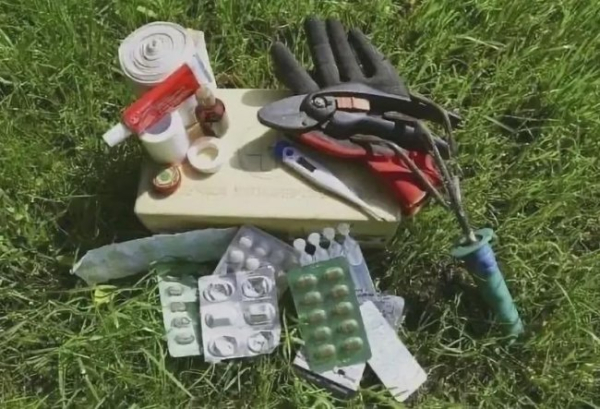 Як правильно сформувати дачну аптечку?