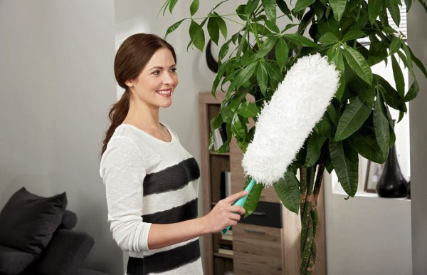 Не так хорош пипидастр, как о нём говорят.  Фото: delbazar.com.