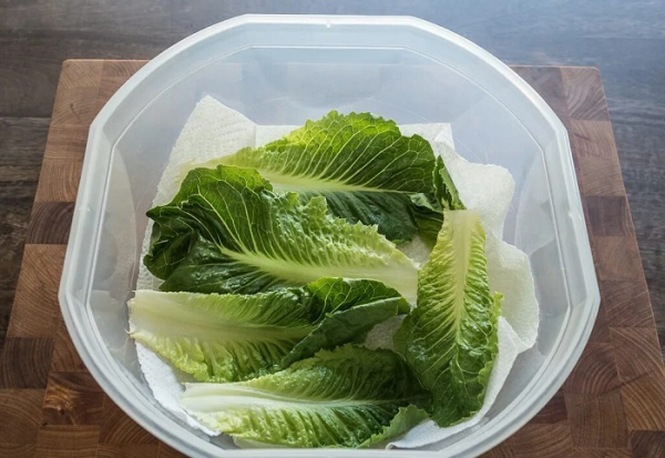 Положите зелень в контейнер с бумажным полотенцем. / Фото: trade-union.dp.ua