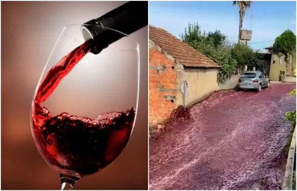 Наводнение красным вином в Португалии, 2023 год. /Фото: benchmarkwines.com.sg, metro.co.uk