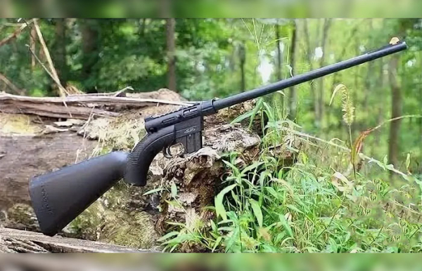 Винтовка AR-7./ Фото: ytimg.com