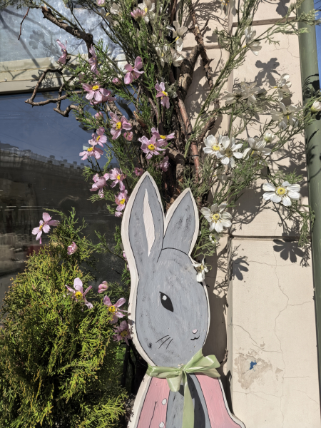 Кадр на основную камеру