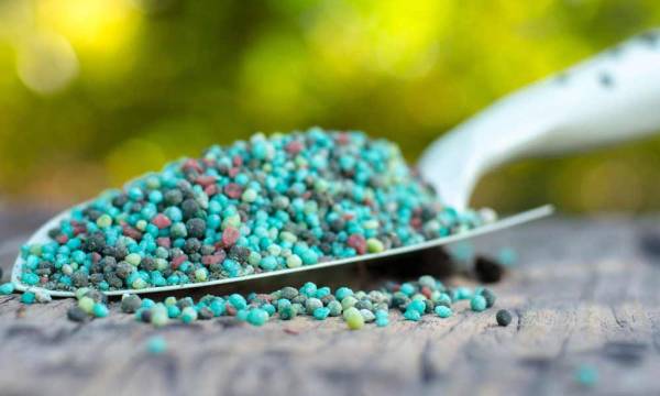 Як грамотно обрати та застосувати мінеральні добрива – AgroONE