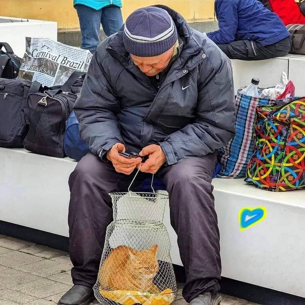 Дідусь з Краматорська евакуює кішку